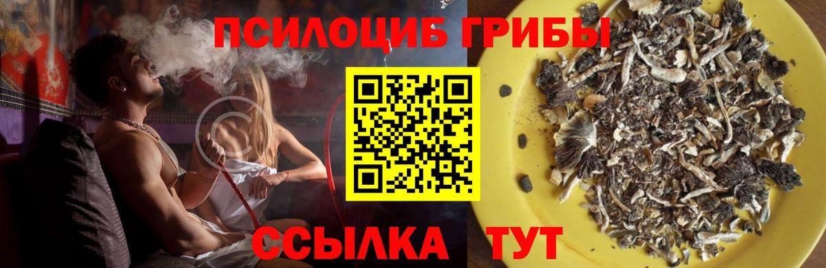 Усинск  Галлюциногенные грибы Magic Shrooms  Вход с VPN 